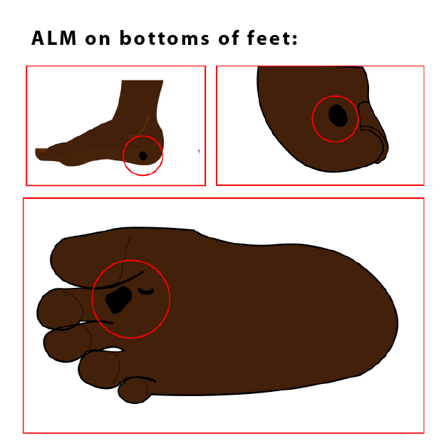 Design Illustration par Melvina_West pour University of utah | Design #21441682