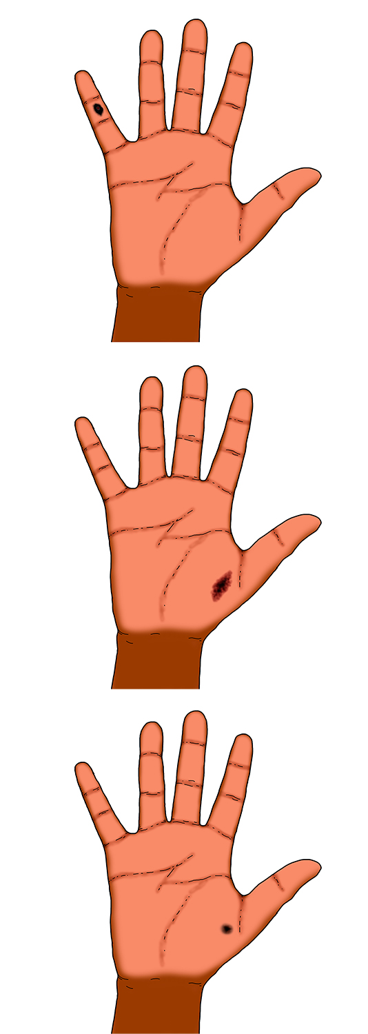 Illustration Design by Luca-Mendieta for University of utah | Design #21422590