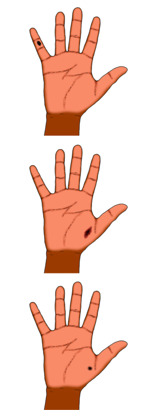 Illustration Design by Luca-Mendieta for University of utah | Design: #21422590