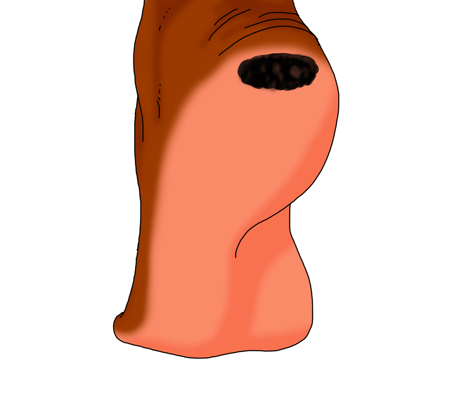 Illustration Design by Luca-Mendieta for University of utah | Design #21422594