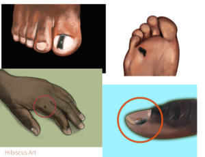 Illustration Design by JMdeca for University of utah | Design: #21431696