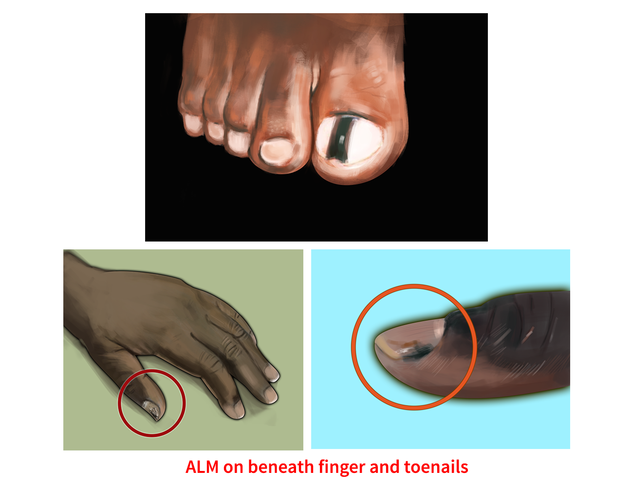 Illustration Design by JMdeca for University of utah | Design #21449484