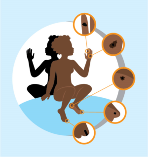 Illustration Design by Milaine Aragão for University of utah | Design: #21425187