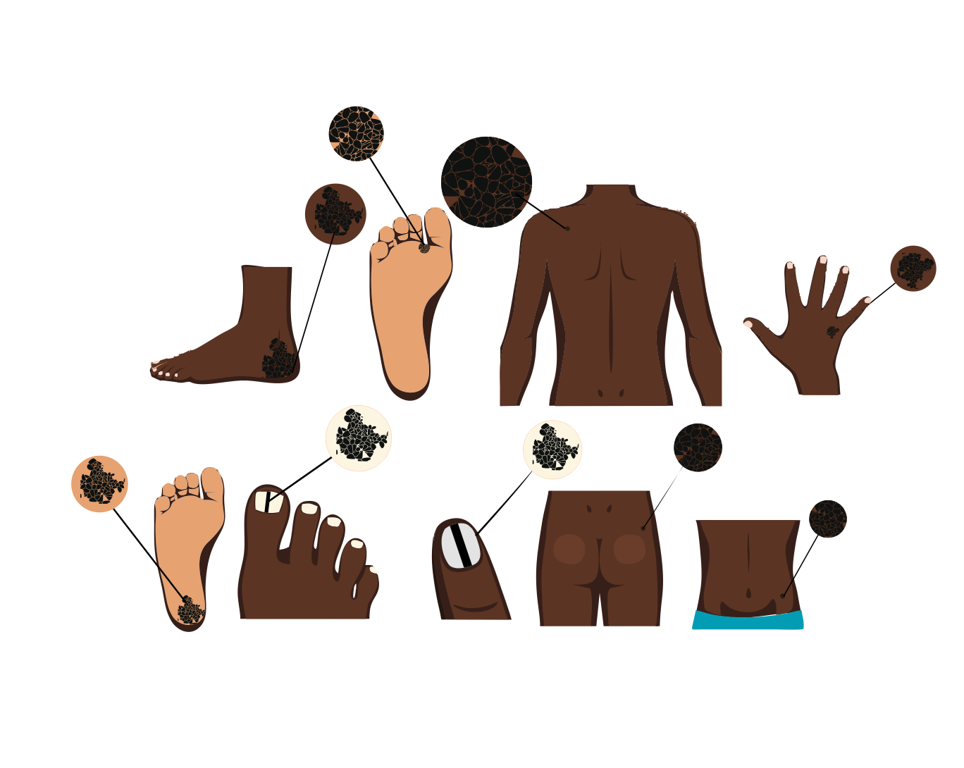 Illustration Design by D/Art for University of utah | Design #21453960