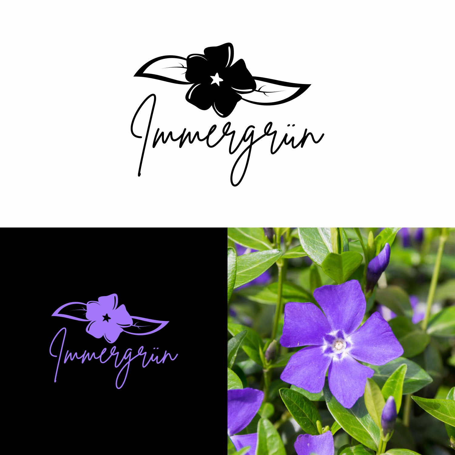 Logo Design by Owasis for this project | Design #21366922