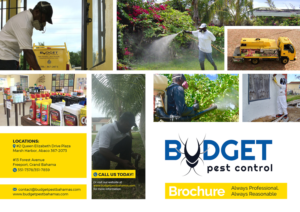 Design de Brochure par Pixelon Studio pour ce projet | Design : #21407446