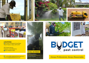 Design de Brochure par Pixelon Studio pour ce projet | Design : #21407765