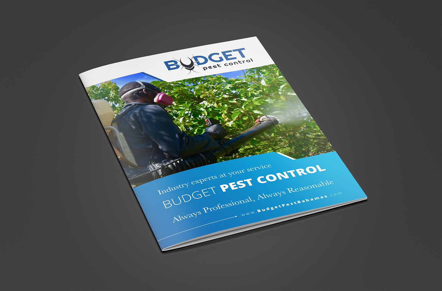 Design de Brochure par ecorokerz pour ce projet | Design #21376025
