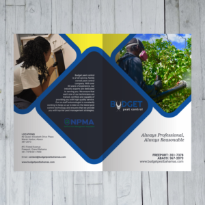 Broschüren-Design von barinix für dieses Projekt | Design #21374599