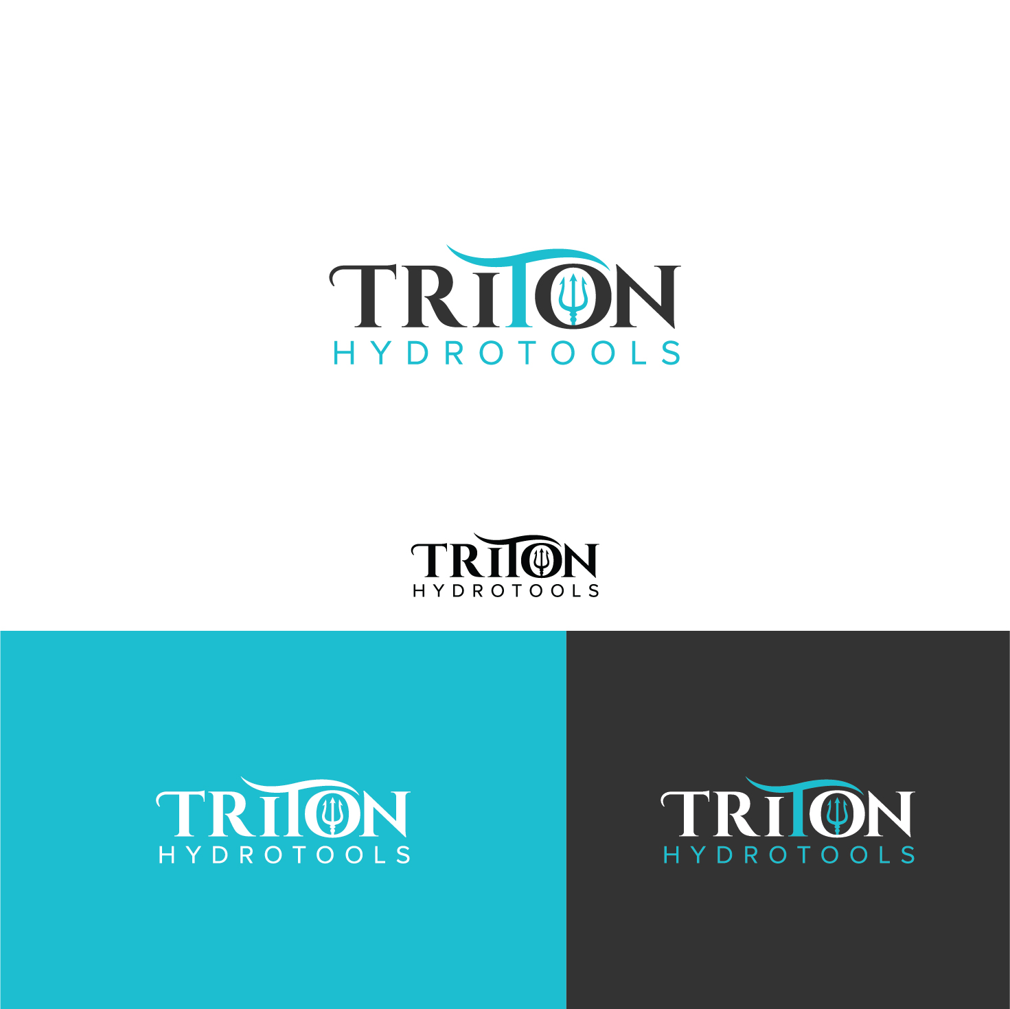Logo Design by Maxo-Biz for Triton HydroTools | Design #21441294