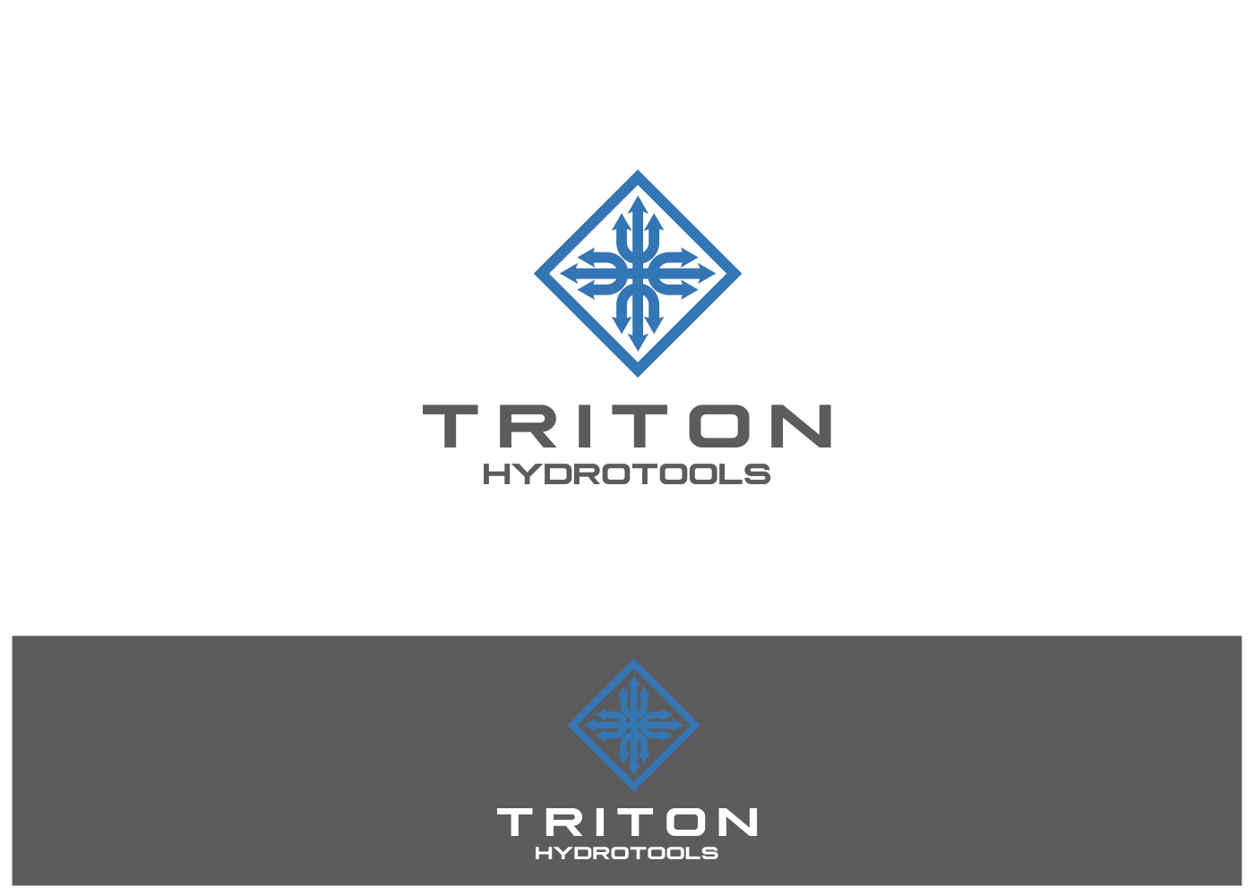 Logo Design by eiffel tesla for Triton HydroTools | Design #21411732