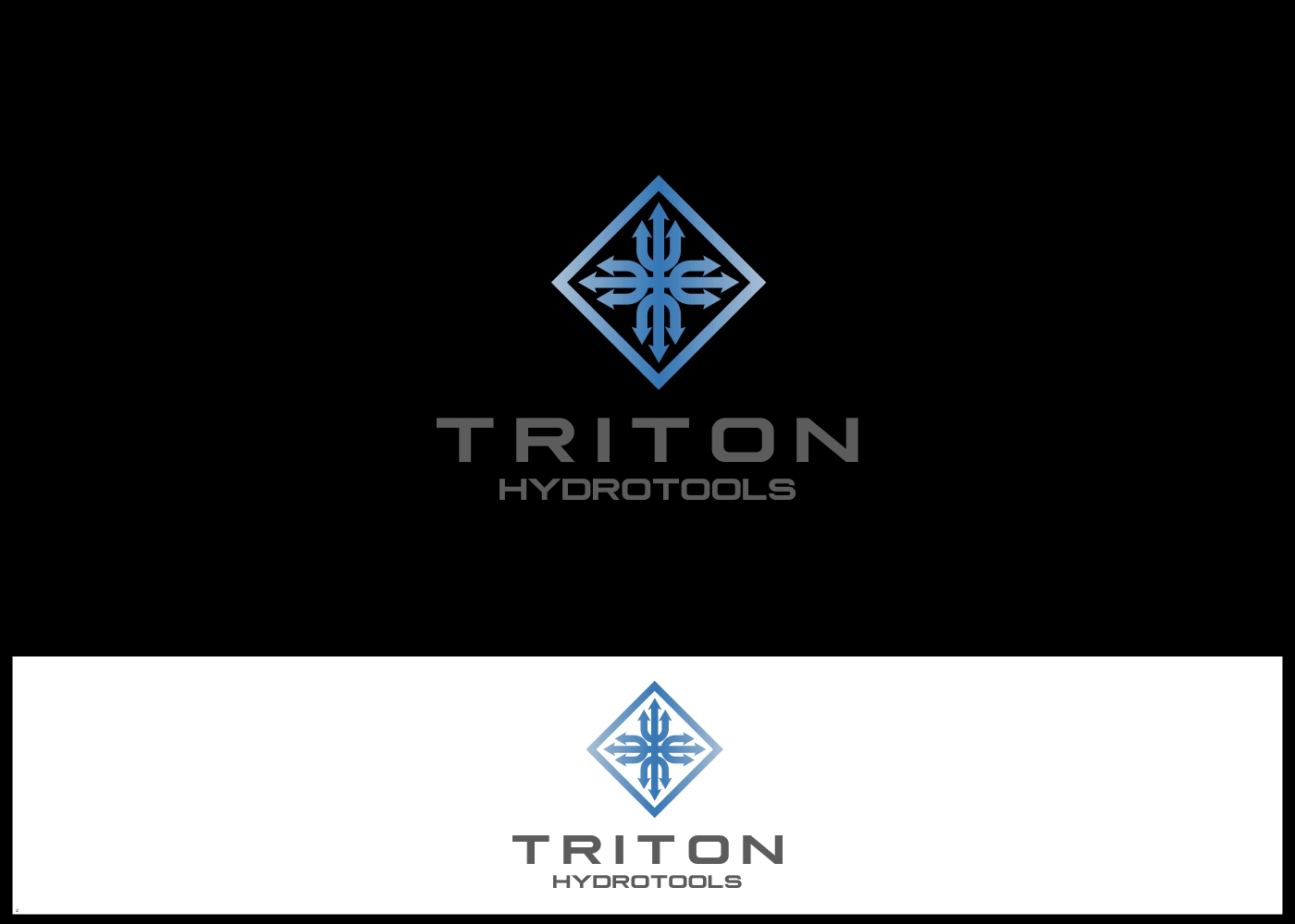 Logo Design by eiffel tesla for Triton HydroTools | Design #21433302
