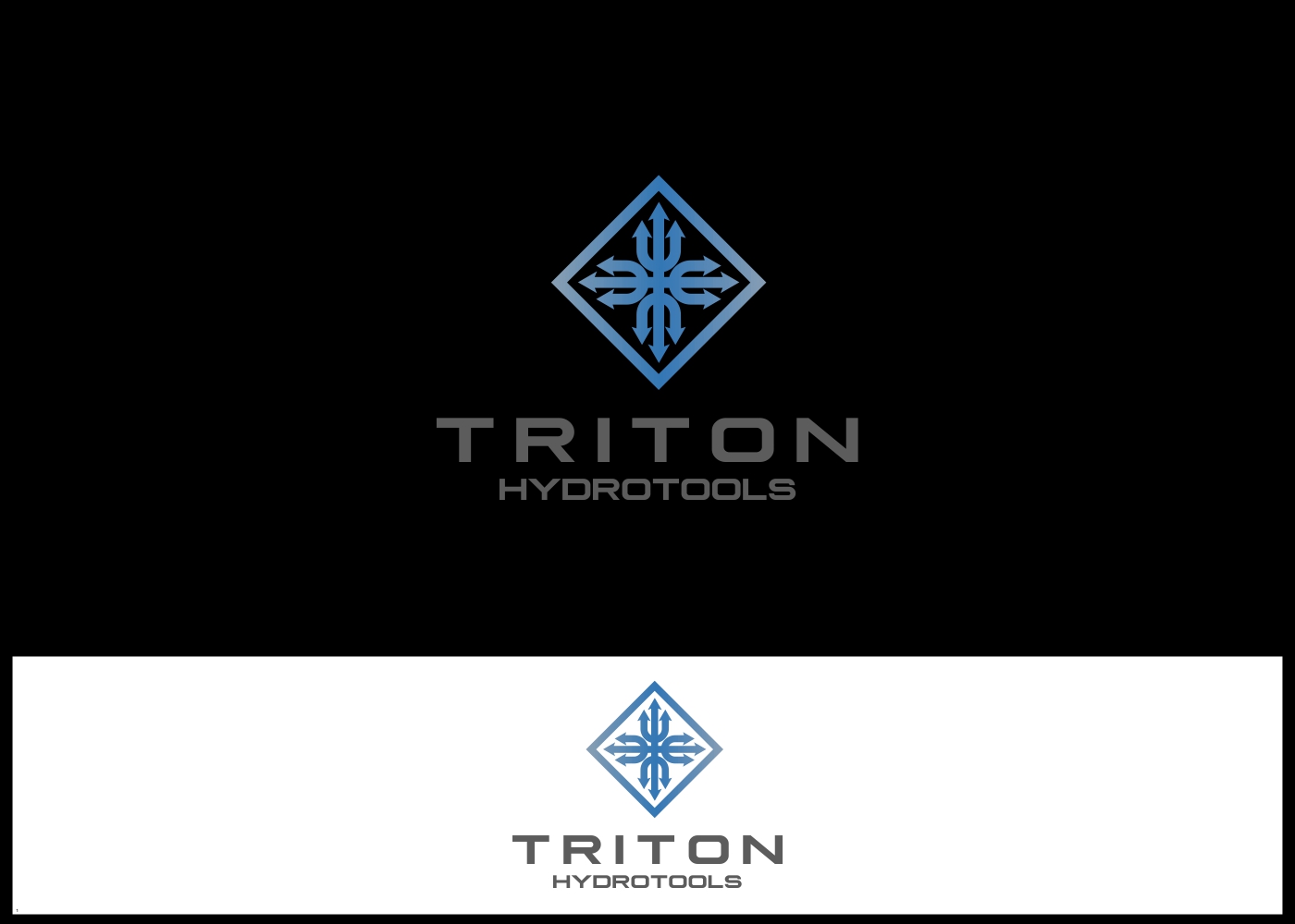 Logo Design by eiffel tesla for Triton HydroTools | Design #21433303