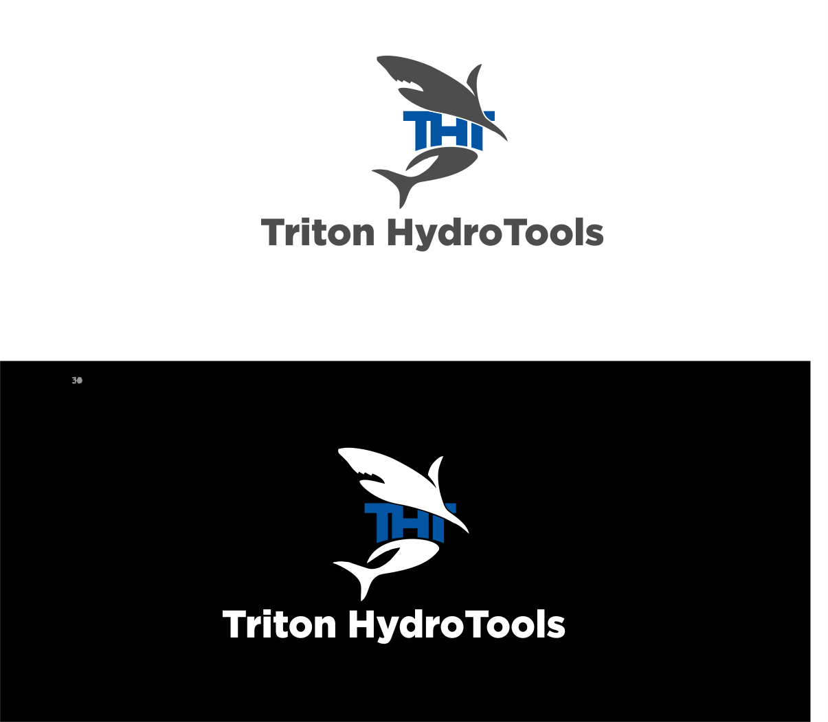 Logo Design by D/Art for Triton HydroTools | Design #21437700