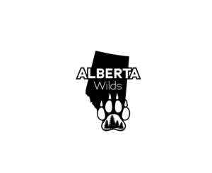 Logo Design by Mosa Abo swelem