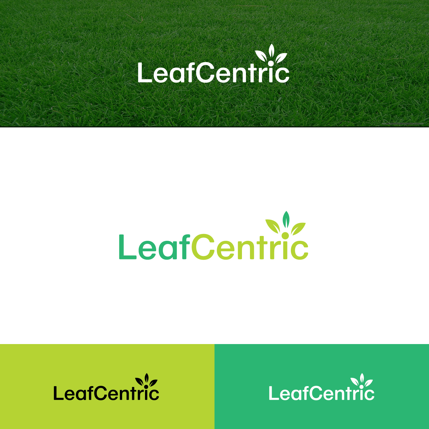 Logo Design by MG.graphics for this project | Design #21380964