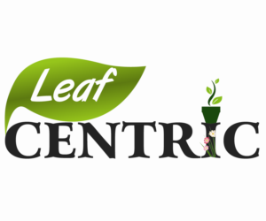 Logo Design by Mansoorqure