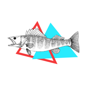 T-shirt Design by G.P. for Burnt Birch Outfitters  | Design: #21416054