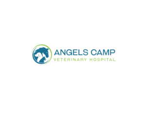 Logo Design by instudio for this project | Design: #21394210