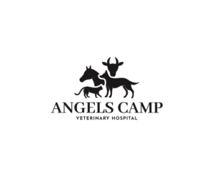 Angels Camp Veterinary Hospital or Mother Lode Veterinary Hospital  | Logo Design by 91.kremena.petrova