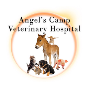 Logo Design by Valiant Design for this project | Design #21400911