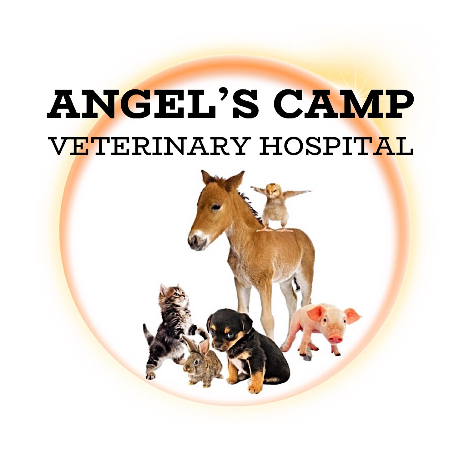 Design de Logo par Valiant Design pour ce projet | Design #21400913