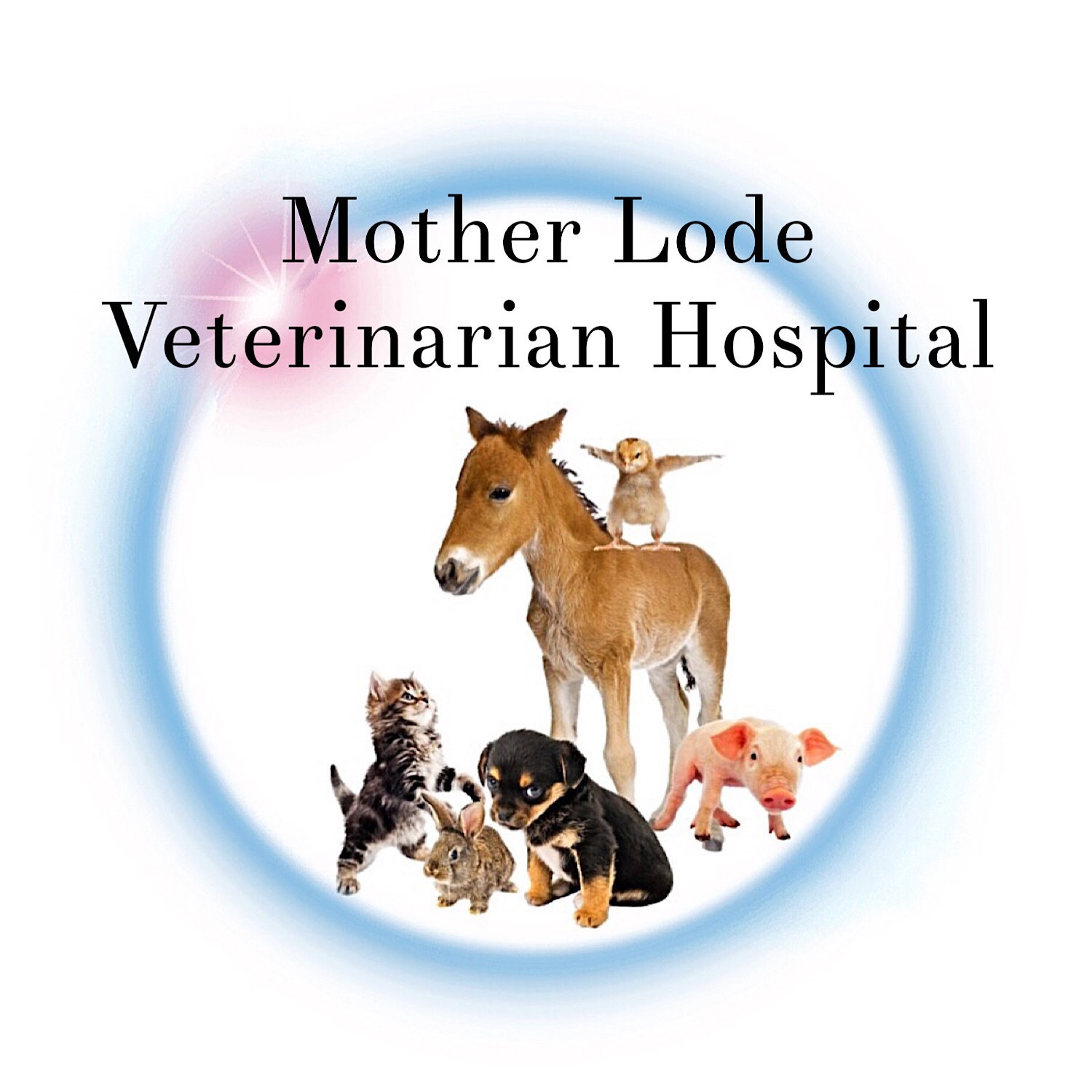 Design de Logo par Valiant Design pour ce projet | Design #21400916