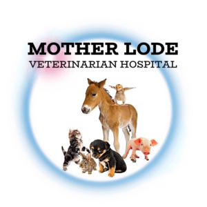 Diseño de Logo por Valiant Design para este proyecto | Diseño: #21400918