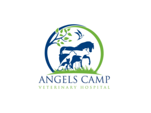 Diseño de Logo por NEOTERIC para este proyecto | Diseño: #21402120