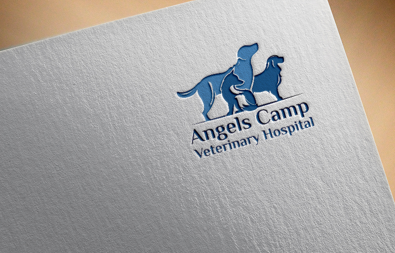 Design de Logo par Synthi pour ce projet | Design #21398582