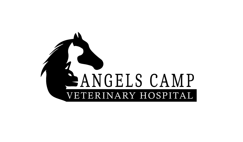 Logo Design by Creativity Master for this project | Design #21401156