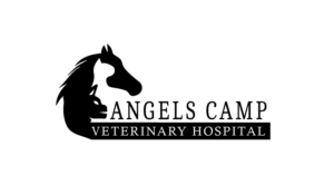 Logo Design by Creativity Master