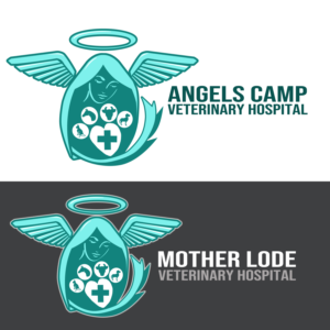 Logo Design by RAM graphics