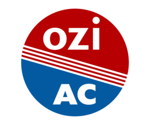 Logo-Design von cristian lee für Ozi Business Group Pty Ltd | Design: #21435153