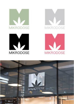 Logo Design by Hajir