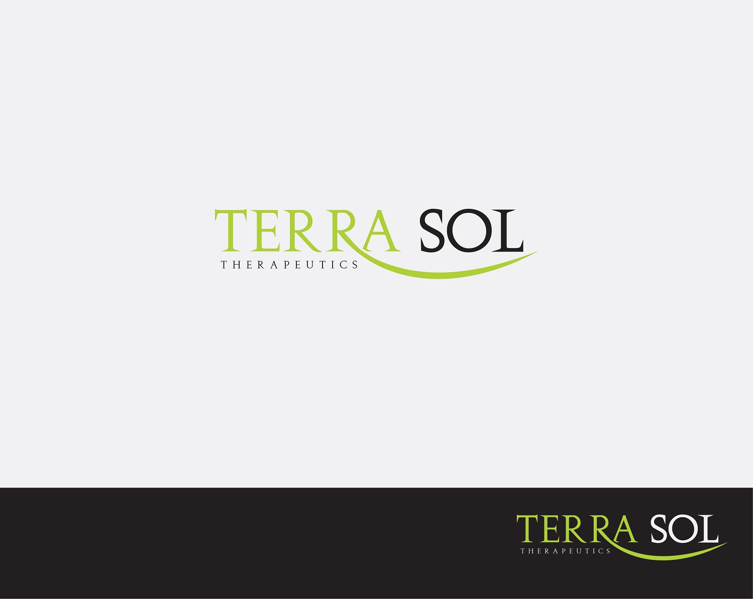 Logo Design by Kira Graphics for Bayou City Wellness Solutions | Design #21424522