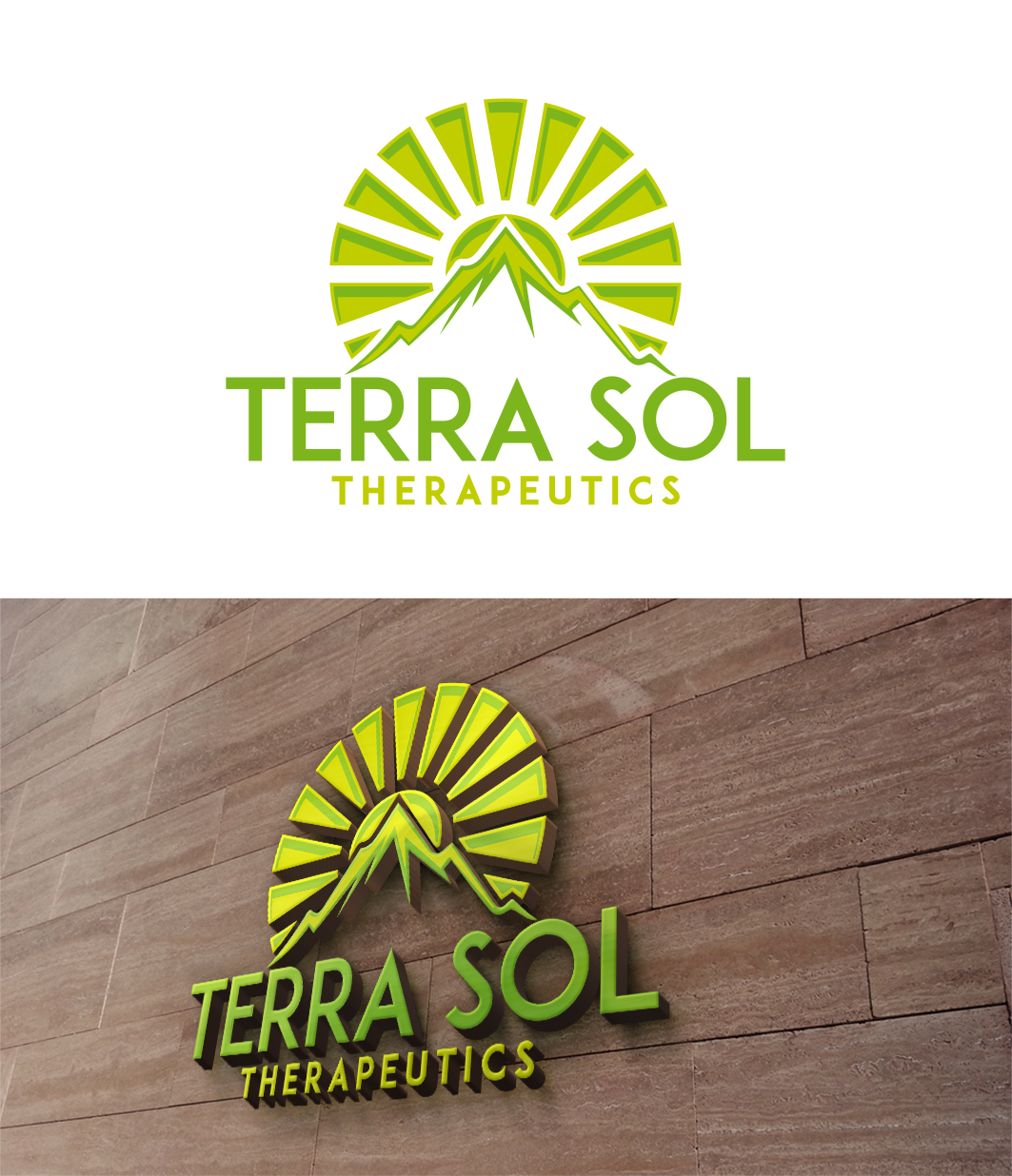 Diseño de Logo por trufya para Bayou City Wellness Solutions | Diseño #21424481