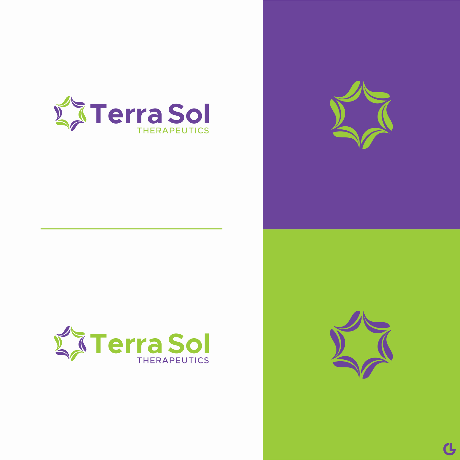 Logo Design by R!CKY for Bayou City Wellness Solutions | Design #21418373