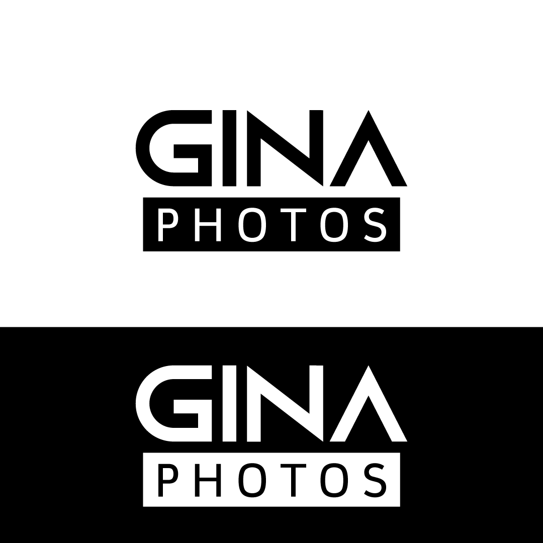 Design de Logo par DesignMe Graphics pour America's Home Place, Inc. | Design #21426359