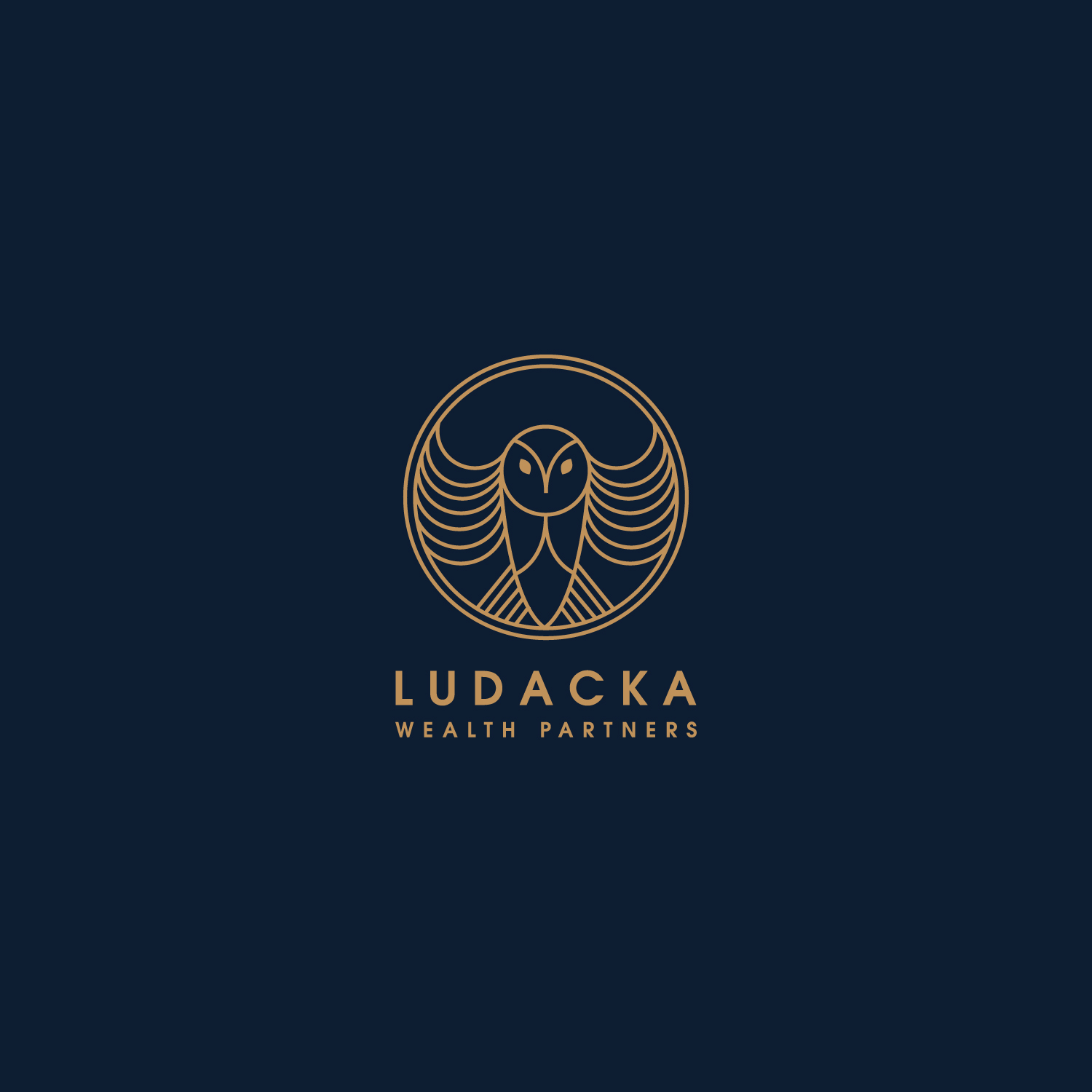 Design de Logo par DsgnStory® pour ce projet | Design #21457120