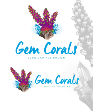 Main Title text: Gem Corals     Sub-text: 100% Captive Grown | Diseño de Logo por StudioD™