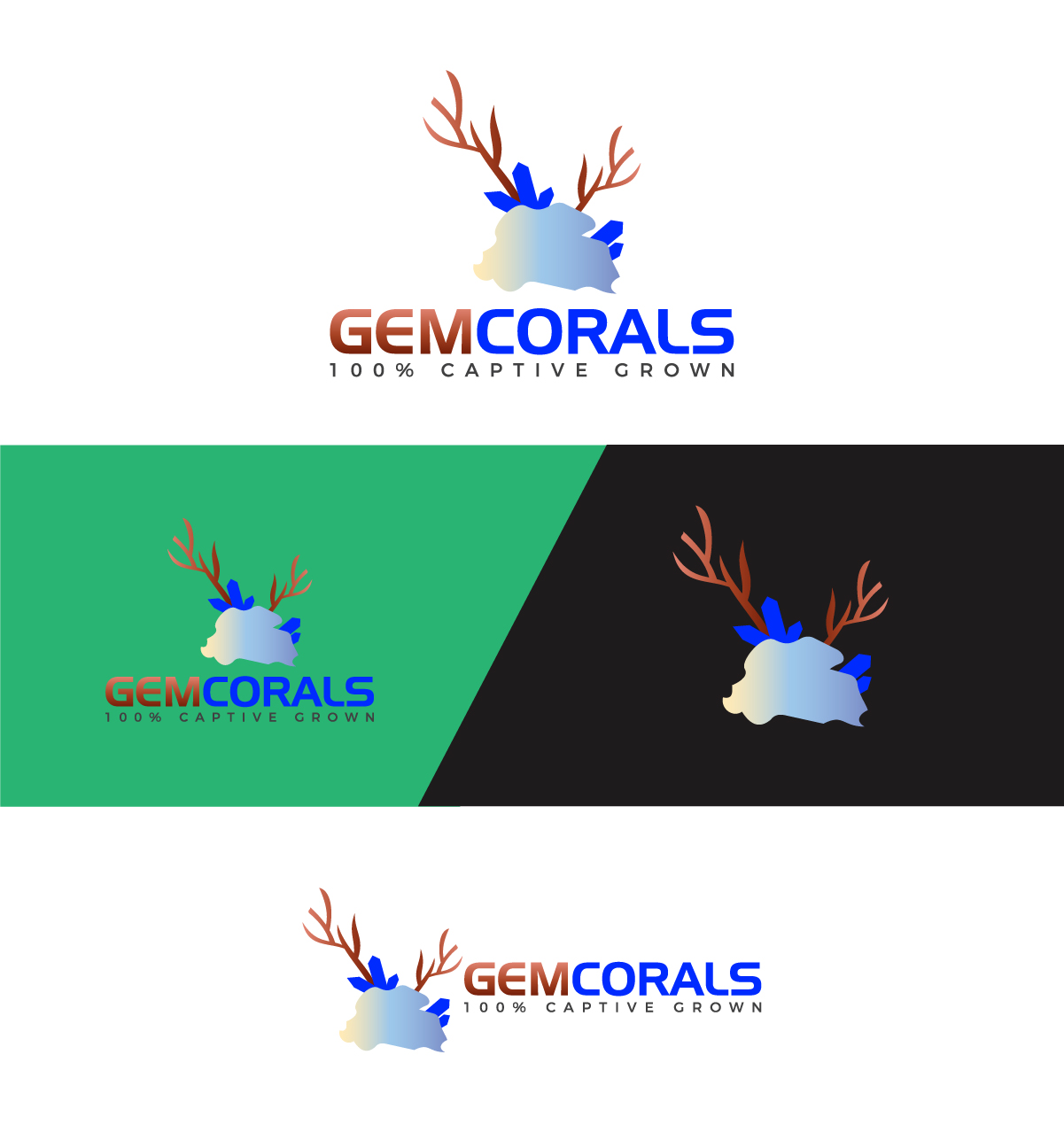 Logo Design by Deziners Zone for this project | Design #21414385