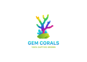 Design de Logo par suryo prakadewa pour ce projet | Design : #21425074