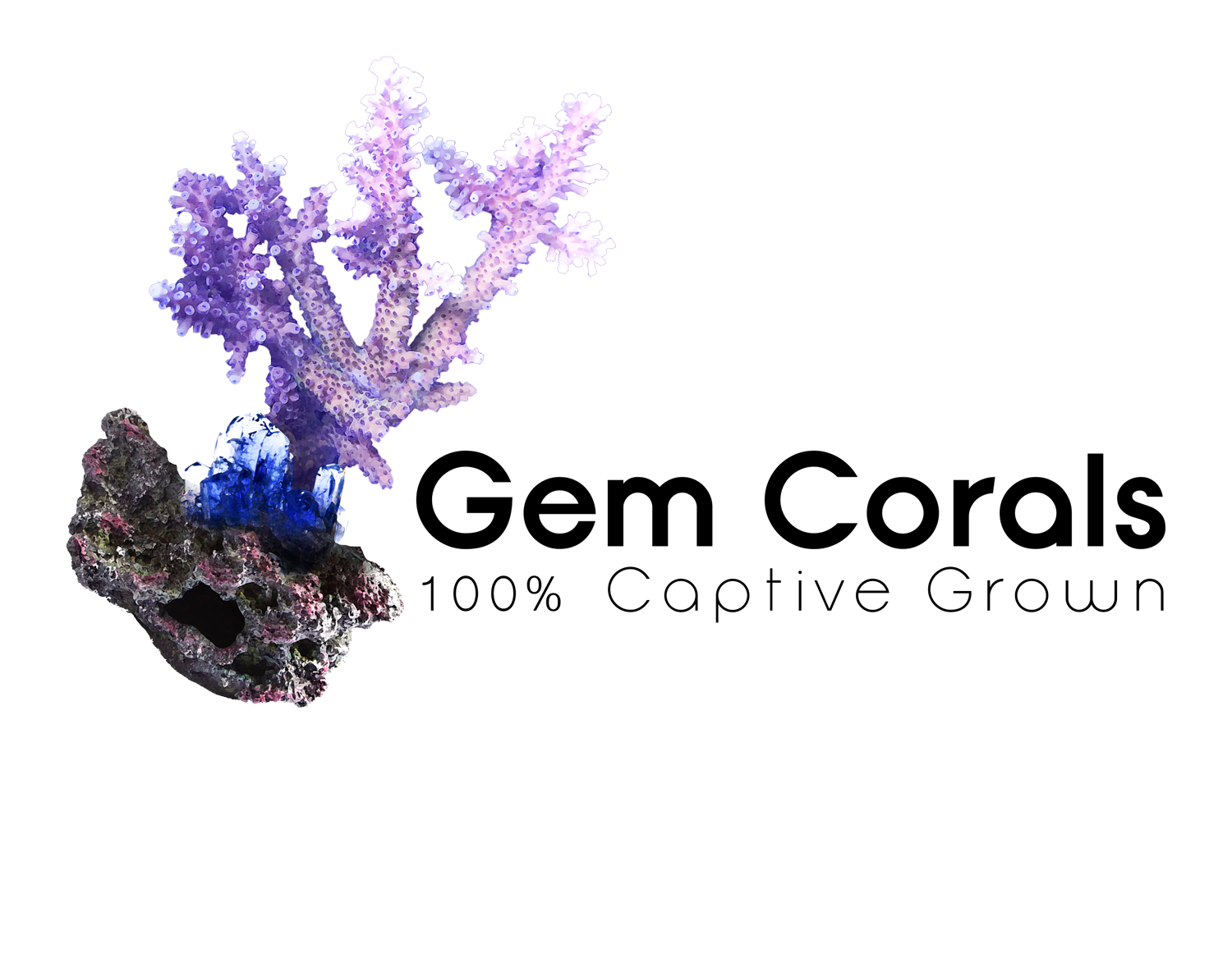 Logo Design by CTE for this project | Design #21417460
