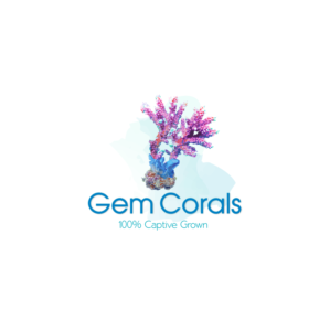 Main Title text: Gem Corals     Sub-text: 100% Captive Grown | Logo Design by Samantha Ward Design