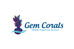 Logo Design by korai