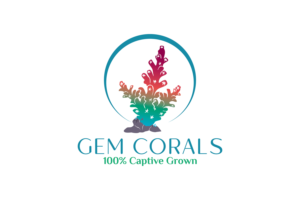 Design de Logo par korai pour ce projet | Design : #21423726