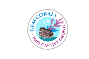 Design de Logo par korai pour ce projet | Design : #21423729
