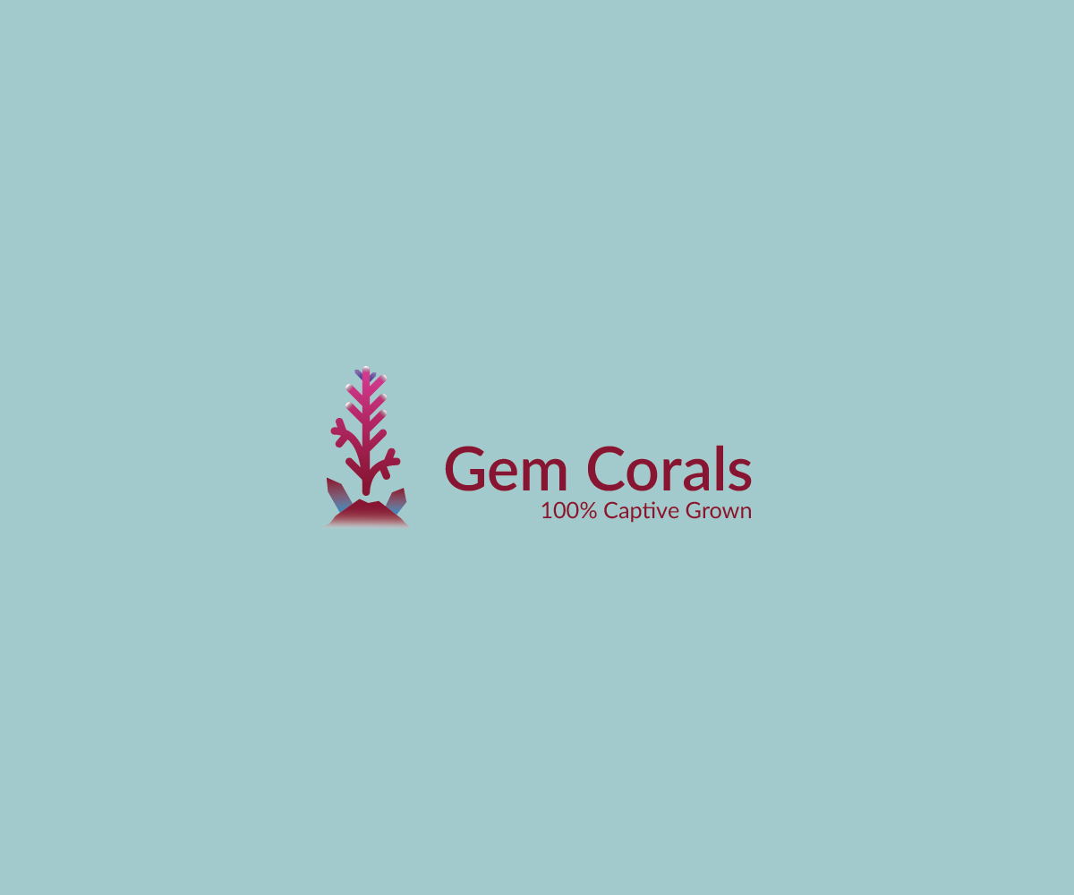 Logo Design by Cesaro for this project | Design #21418795