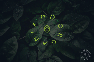 Logo Design by uzi marz